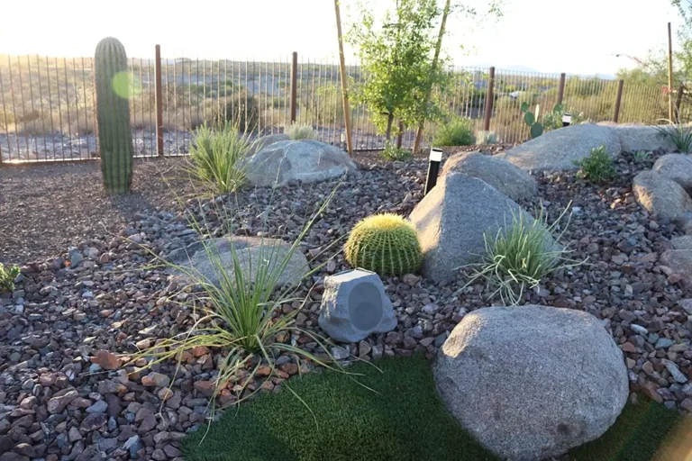 Napoles Landscaping Wickenburg Ranch 4